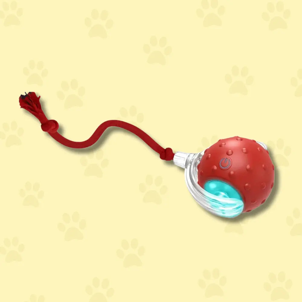 interactive-smart-ball-bis-meow