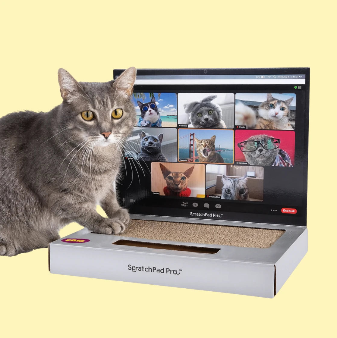 3 in 1 Laptop Scratcher