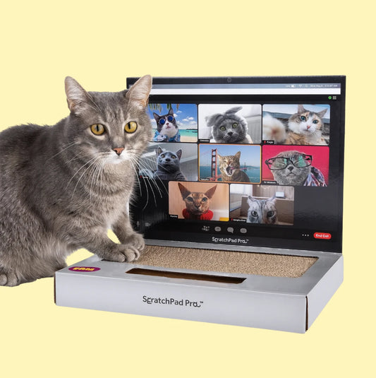 3 in 1 Laptop Scratcher