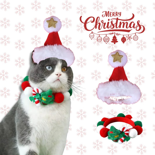 Cat Hat & Collar Set 1000