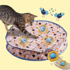 Interactive Cat Toy