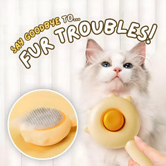 Gentle Cat Brush