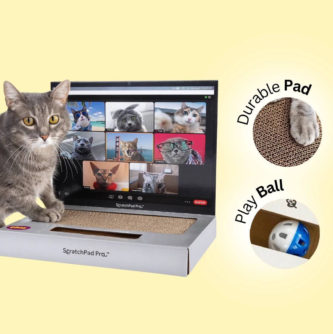 3 in 1 Laptop Scratcher