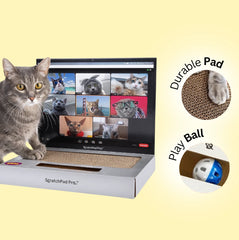 3 in 1 Laptop Scratcher