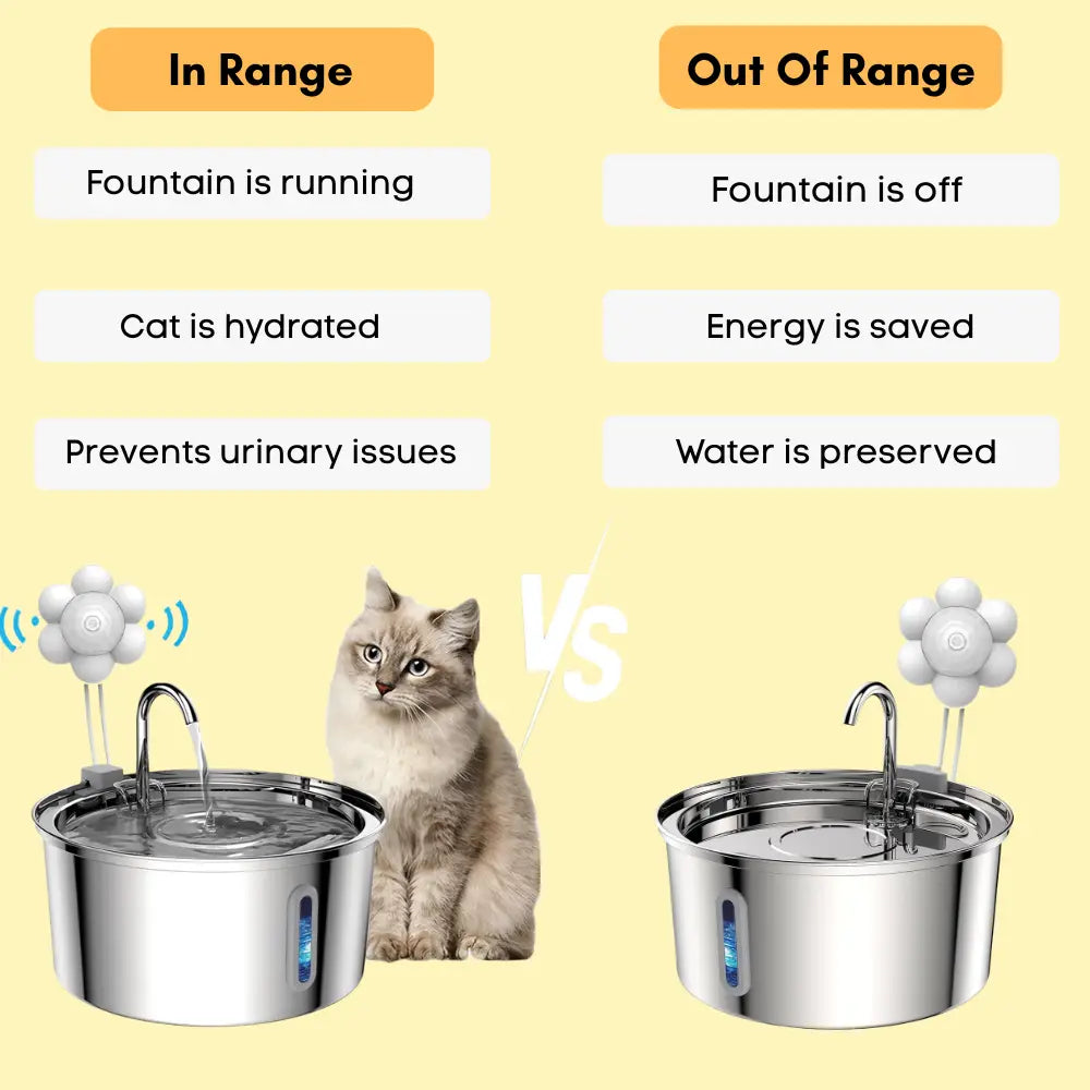 Stainless Steel Fountain Bundle