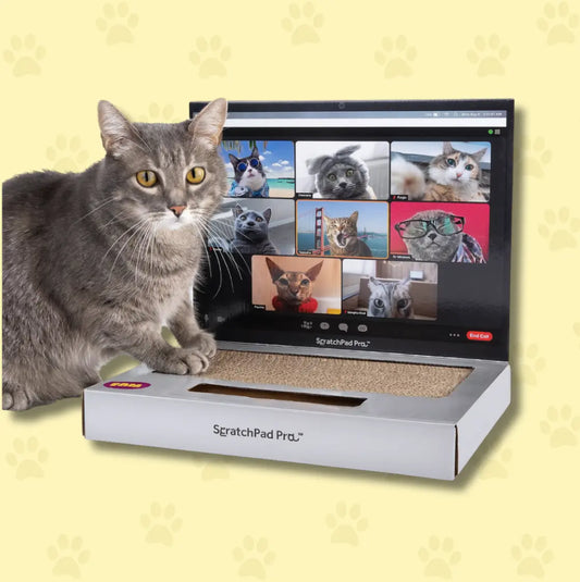 3 in 1 Laptop Scratcher