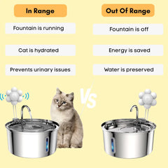 Stainless Steel Fountain Bundle