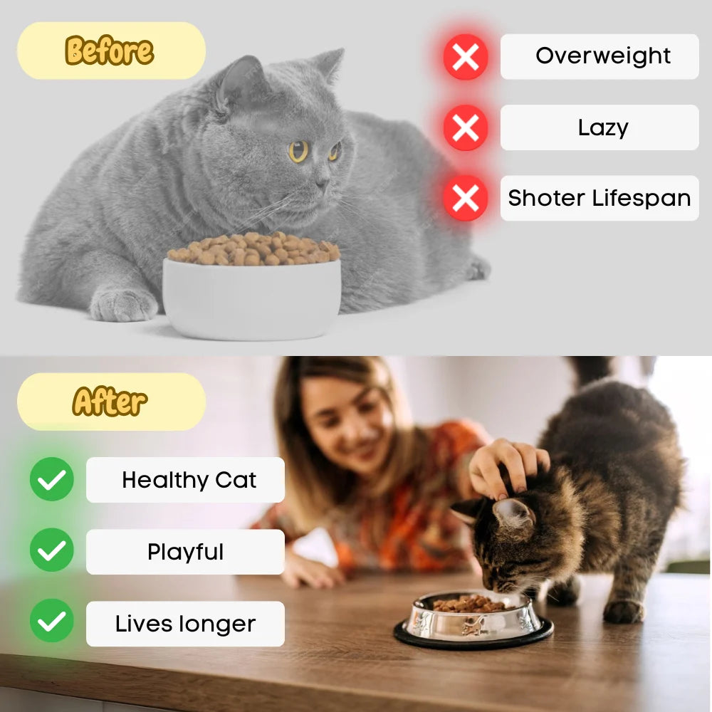 Digital Measuring Spoon