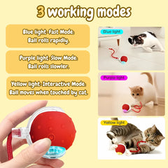 Interactive Smart Ball