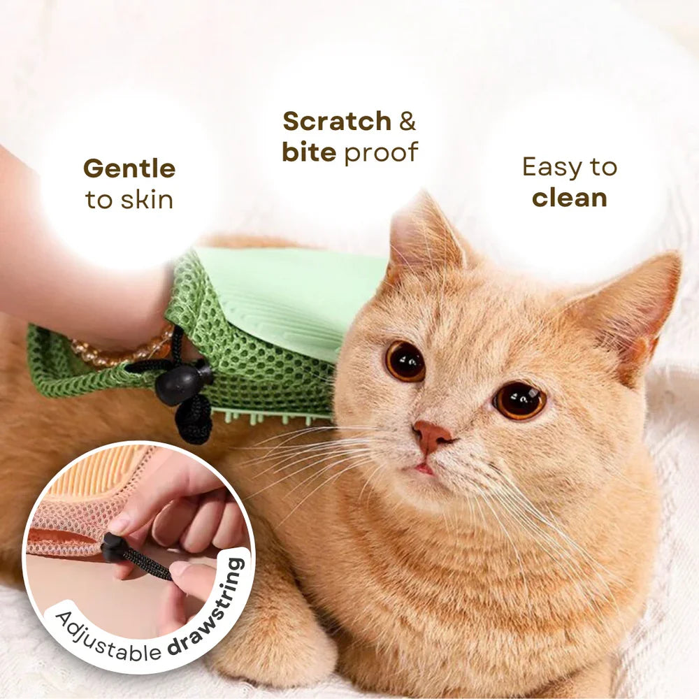 2 in 1 Cat Glove