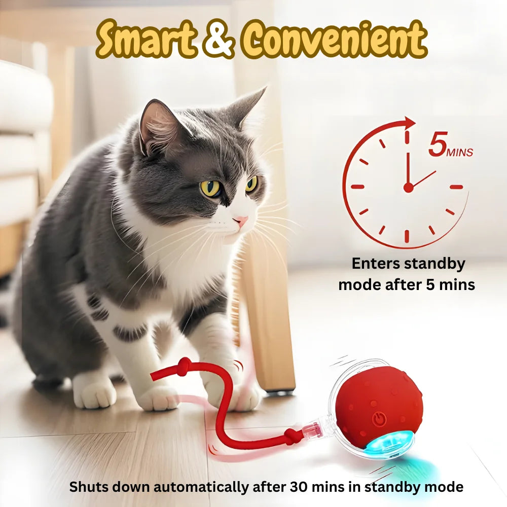 Interactive Smart Ball