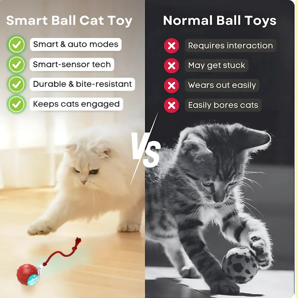 Interactive Smart Ball