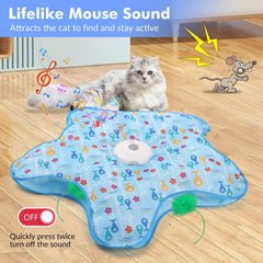 Interactive Feather Toy