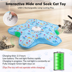 Interactive Feather Toy